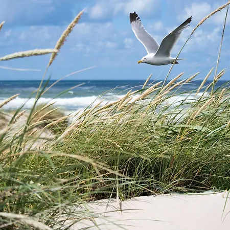 In Belgium Near The Seawall Knokke-Heist