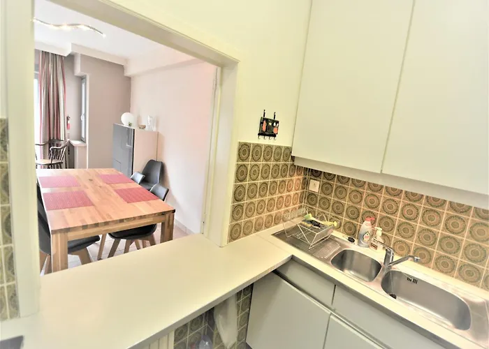 アパート In Belgium Near The Seawall