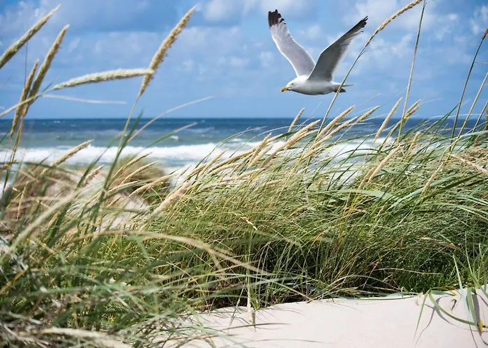 In Belgium Near The Seawall クノック・ヘイスト